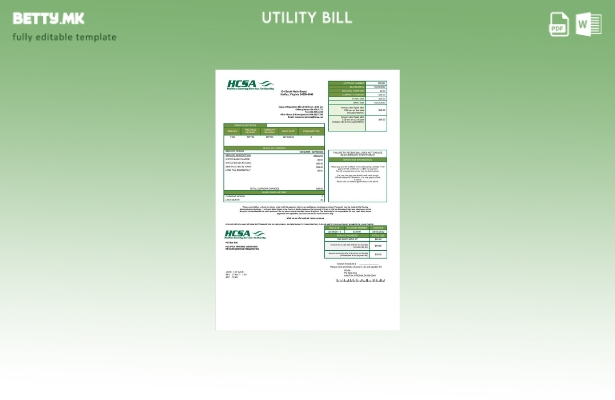 Модерен стил на САД Вирџинија HCSA шаблон за комунални сметки